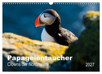 Produktbild: PAPAGEIENTAUCHER - Clowns der Nordmeere (Wandkalender 2027 DIN A3 quer), CALVENDO Monatskalender