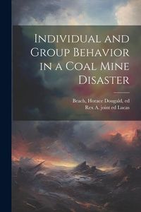 Produktbild: Individual and Group Behavior in a Coal Mine Disaster