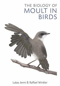 Produktbild: Jenni, L: Biology of Moult in Birds