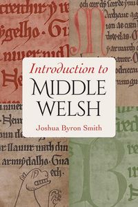 Produktbild: Introduction to Middle Welsh