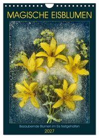 Produktbild: Magische Eisblumen (Wandkalender 2027 DIN A4 hoch), CALVENDO Monatskalender