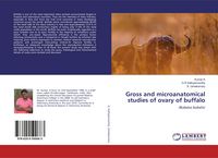 Produktbild: Gross and microanatomical studies of ovary of buffalo