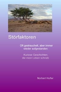 Produktbild: St&ouml;rfaktoren