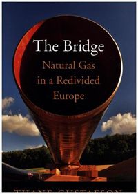 Bild vom Artikel The Bridge vom Autor Thane Gustafson