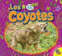 Produktbild: Los Coyotes