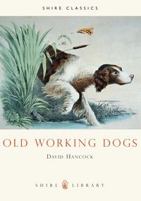 Produktbild: Old Working Dogs