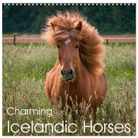 Produktbild: Charming Icelandic Horses (Wall Calendar 2026 12 &times; 12 Inch) CALVENDO 12 Month Wall Calendar