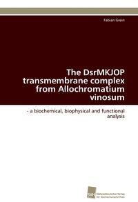 Bild vom Artikel The DsrMKJOP transmembrane complex from Allochromatium vinosum vom Autor Fabian Grein