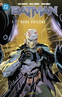 Produktbild: Batman Vol. 4: Dark Prisons