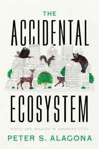 Produktbild: The Accidental Ecosystem