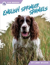 Produktbild: English Springer Spaniels