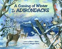 Produktbild: Coming Of Winter In The Adirondacks
