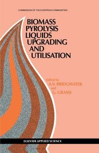 Produktbild: Biomass Pyrolysis Liquids Upgrading and Utilization