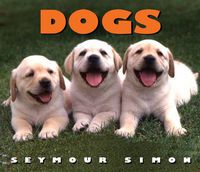 Produktbild: Dogs