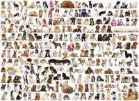 Produktbild: Puzzle 1000 Teile - The World of Dogs
