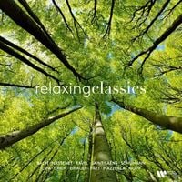 Produktbild: Relaxing Classics, 1 Schallplatte
