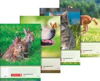 Produktbild: Brunnen Hausaufgabenheft &brvbar; A5, 48 Blatt, sortiert