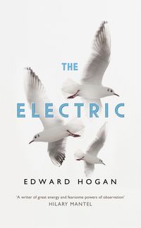 Produktbild: The Electric