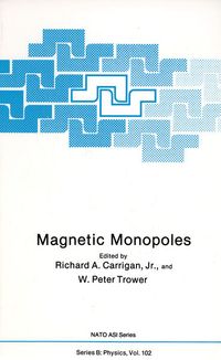 Produktbild: Magnetic Monopoles