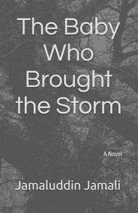 Produktbild: The Baby Who Brought the Storm
