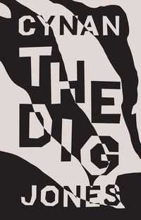 Produktbild: The Dig