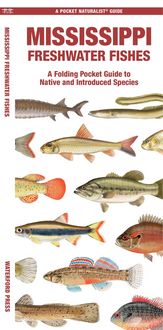 Produktbild: Mississippi Freshwater Fishes
