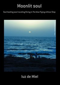 Produktbild: Moonlit Soul
