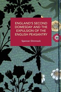 Produktbild: England's Second Domesday and the Expulsion of the English Peasantry
