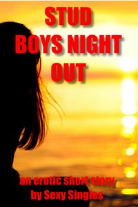 Produktbild: Stud Boy's Night Out