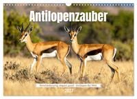Produktbild: Antilopenzauber (Wandkalender 2027 DIN A3 quer), CALVENDO Monatskalender