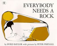 Produktbild: Everybody Needs a Rock