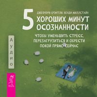 Produktbild: Five good minutes of mindfulness : reduce stress, reset, and find peace right now