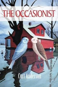 Produktbild: The Occasionist