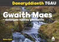 Produktbild: Daearyddiaeth TGAU: Gwaith Maes - Datblygu Sgiliau Ymchwilio