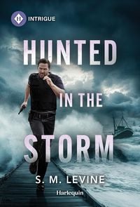 Produktbild: Hunted in the Storm