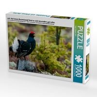 Produktbild: CALVENDO Puzzle Juli: Auf einem Baumstumpf l&auml;sst es sich besonders gut rufen. | 1000 Teile Lege-Gr&ouml;&szlig;e 64x48cm Foto-Puzzle f&uuml;r gl&uuml;ckliche Stunden