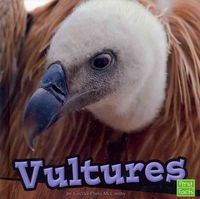 Produktbild: Vultures