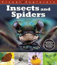 Produktbild: Insects & Spiders
