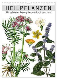 Produktbild: Heilpflanzen (Wandkalender 2027 DIN A3 hoch), CALVENDO Monatskalender