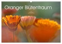Produktbild: Oranger Bl&uuml;tentraum (Wandkalender 2026 DIN A2 quer), CALVENDO Monatskalender