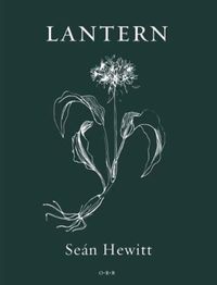 Produktbild: Hewitt, S: Lantern