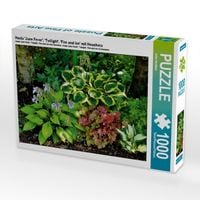 Produktbild: CALVENDO Puzzle Hosta 'June Fever', 'Twilight', 'Fire and Ice' mit Heuchera | 1000 Teile Lege-Gr&ouml;&szlig;e 64x48cm Foto-Puzzle f&uuml;r gl&uuml;ckliche Stunden