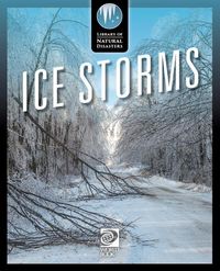 Produktbild: Ice Storms