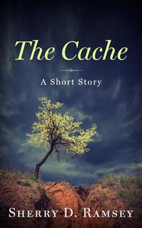 Produktbild: The Cache
