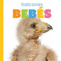 Produktbild: Halcones Bebes