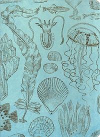 Produktbild: Sealife Sketches Journal