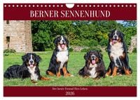 Produktbild: Berner Sennenhund - Der beste Freund f&uuml;rs Leben (Wandkalender 2026 DIN A4 quer), CALVENDO Monatskalender