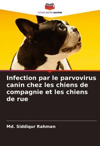 Produktbild: Infection par le parvovirus canin chez les chiens de compagnie et les chiens de rue