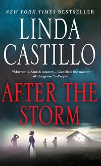 Bild vom Artikel After the Storm vom Autor Linda Castillo