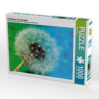 Produktbild: CALVENDO Puzzle Pusteblume mit Tautropfen | 1000 Teile Lege-Gr&ouml;&szlig;e 64x48cm Foto-Puzzle f&uuml;r gl&uuml;ckliche Stunden